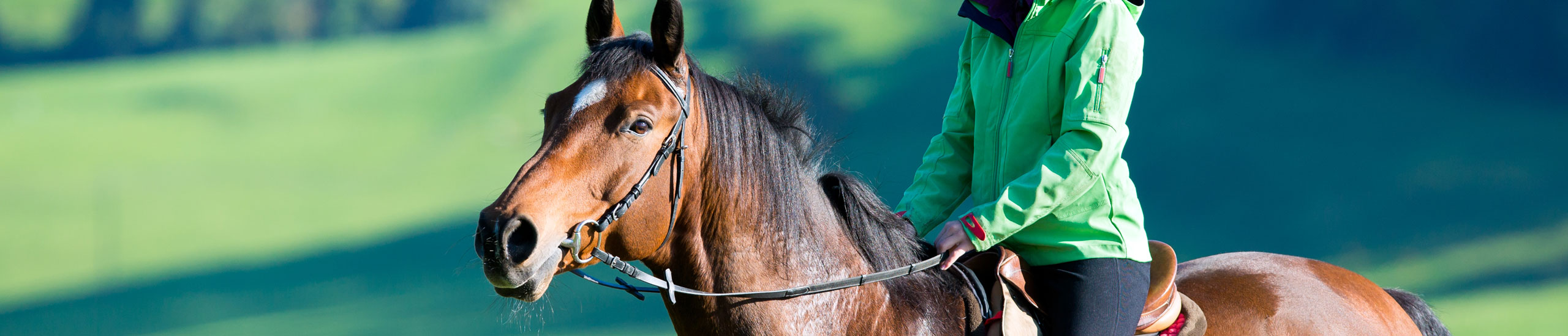 Horse Riding Inverness Loch Ness Inverness Things To Do